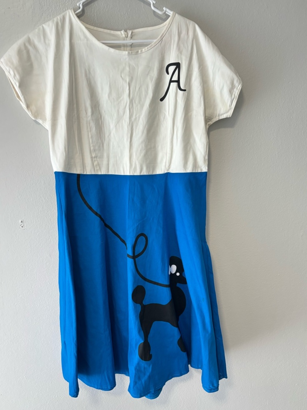 White & Blue Colorblock Dress with Poodle Graphic